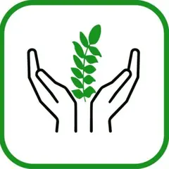 COALICION TRANSFORMADORA TIERRA VERDE